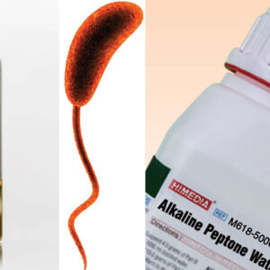 Akaline Peptone Water